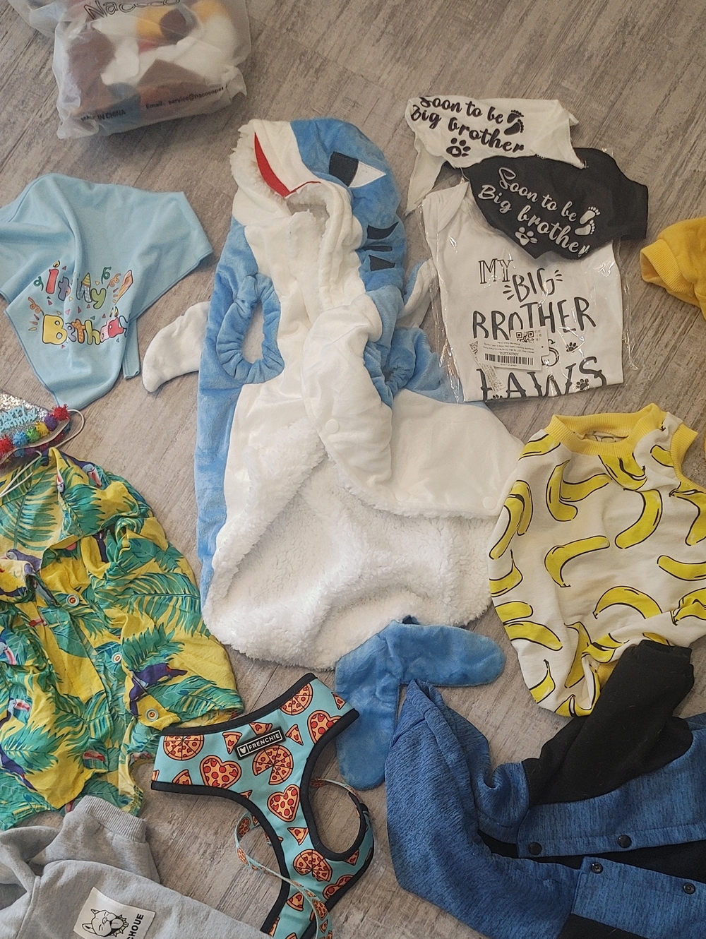 HUGE FRENCHIE LOT L/XL French Bulldog Clothes & Accessories - Picture 4 of 10